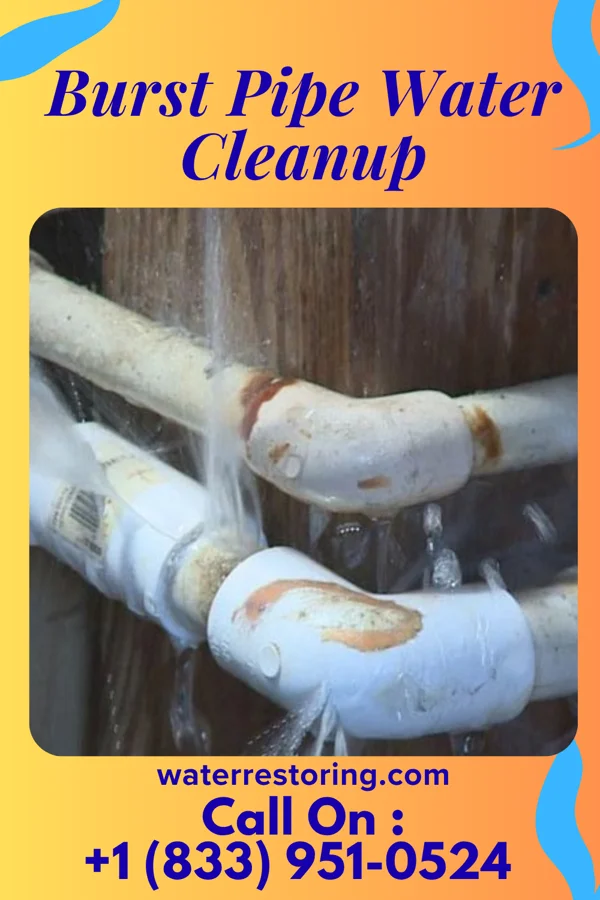 Burst Pipe Water Cleanup in Stoneboro, PA