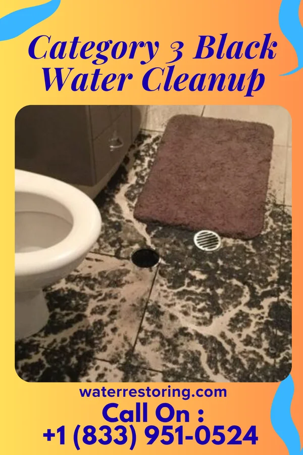 Category 3 Black Water Cleanup in Stoneboro, PA