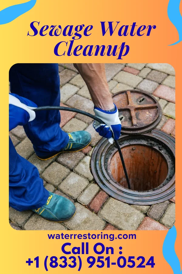 Sewage Water Cleanup in Stoneboro, PA
